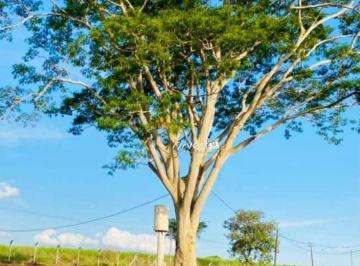 Imagem 1 · Sítio