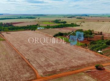 Imagem 1 · Fazenda