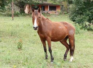 Imagem 1 · Sítio
