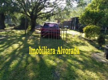 Imagem 1 · Sítio