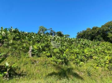 Imagem 2 · Sítio para venda em Centro, Massaranduba