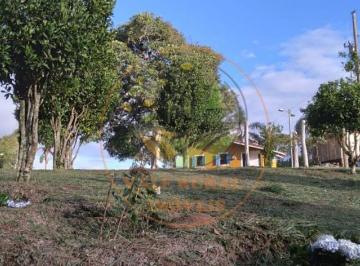 Imagem 1 · Sítio
