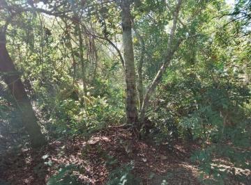 a0ad1ae79985f4694db6c0e2d2fc3302057fb008 · Terreno à venda, 575 m² por R$ 500.000,00 - São Paulo II - Cotia/SP