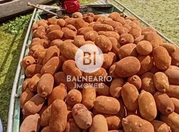 Imagem 1 · Sítio