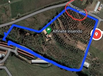 Imagem 1 · Sítio