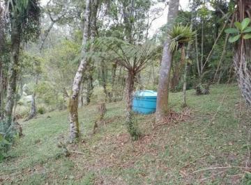 Imagem 1 · Sítio