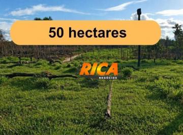 Imagem 1 · Sítio