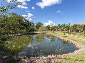Imagem 1 · Sítio para venda em Lageado, Porto Alegre