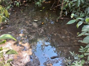 Imagem 1 · Sítio para venda em Centro, Uberlândia