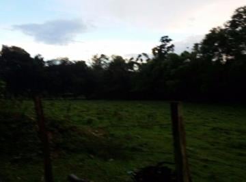 Imagem 1 · Sítio para venda em Centro, Pinhalzinho