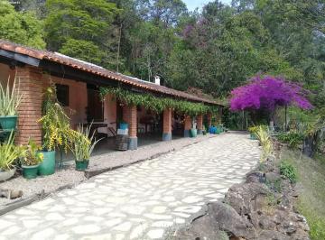 Imagem 1 · Sítio