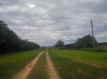 Imagem 1 · Sítio
