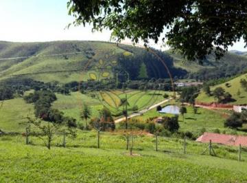 Imagem 1 · Sítio