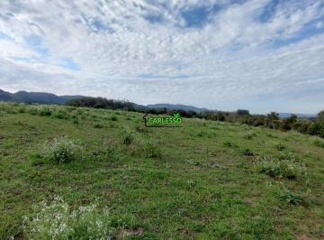 Imagem 1 · Sítio para venda em Boca do Monte, Santa Maria