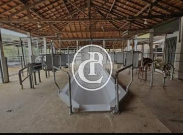 Imagem 1 · Fazenda para venda em Centro, Igaratá
