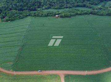 Imagem 1 · Sítio para venda em Cascavel