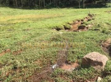 Imagem 1 · Sítio para venda em Centro, Piracaia