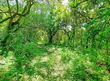 Imagem 1 · Sítio para venda em Passo da Areia, Viamão