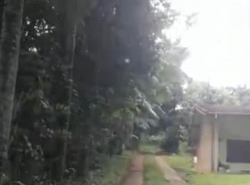Imagem 1 · Sítio para venda em Iara, Atibaia