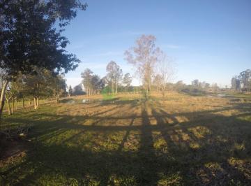 Imagem 1 · Sítio