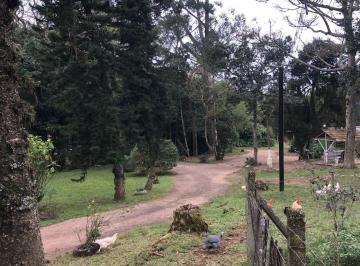 Imagem 1 · Sítio para venda em Restinga, Porto Alegre