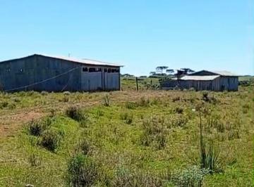 Imagem 1 · Sítio para venda em Centro, São Francisco de Paula