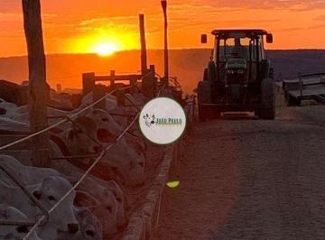 Rural , Posse · Fazenda a venda em POSSE-GO - 968 Hectares - 500 HA abertos e 380 hectares formados