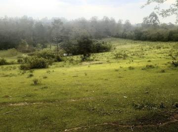Rural de 2 quartos, Viamão · Sítio de 12 Hectares com 2 Casas e Açude – Passo do Vigário, Viamão.