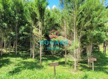 znq4lmow4mq1772057166885.jpg · Sítio à venda, 95000 m² por R$ 1.500.000,00 - Zona Rural - Monteiro Lobato/SP