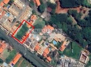 Foto 01 · Terreno - Bairro das Palmeiras