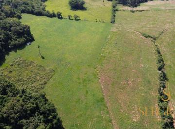 Rural , Triunfo · 19,8 HECTARES NA COXILHA VELHA - TRIUNFO POR 690 MIL