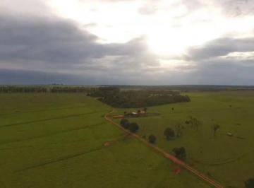 Rural de 3 quartos, Naviraí · FAZENDA 2410 HEC. EM NAVIRAÍ MS BEIRA ASFALTO PECUÁRIA ALTA PRODUTIVIDADE