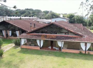 4b7baab54defbaddcca3f285d9ce7ae30770dcbd · Fazenda de Pinus e Produção na Região de Itapetininga/SP – 227 Alqueires