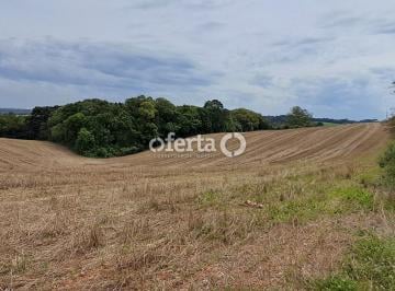 Rural · 20000m² · Chacara em Araucaria - Guajuvira