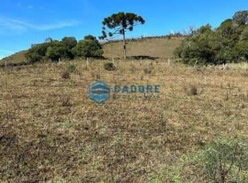 25135177_4.jpg · CHÁCARA NA CRIÚVA com 20,000m²