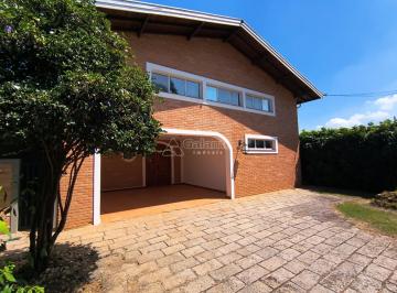 0 · casa para aluguel em Nova Campinas