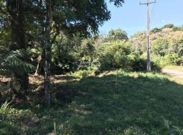 316_gsj4fpg2odg3owy4mgjhmdc1_md.jpg · Vende-se Terreno em Canela a cerca de 3 minutos da Catedral de Pedra