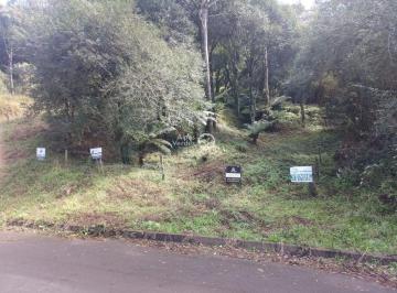 83013a3c9ee36769abd2b88af672f.jpg · Terreno à Venda em Santa Terezinha, Canela - RS