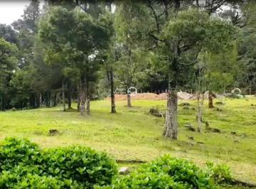 91509d80d0fe5719e2b8e1f2ea0ed.jpg · Oportunidade para Investidores Terreno à venda em Canela/RS