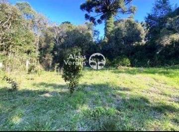 1215136f87d1b12a3ce673d506b4a1.jpg · Terreno a venda por R$ 450.000,00 - Mato queimado - Gramado/RS