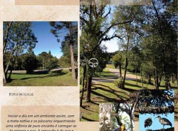 200019e9d83d62672308e15eb01e91.jpg · Terreno em Condomínio, 546,18m², à venda em Canela, centro