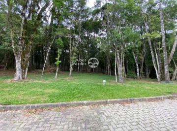 21451281b2868e756d938e49e07feb.jpg · Terreno em Condomínio, 450m², à venda em Canela, Centro