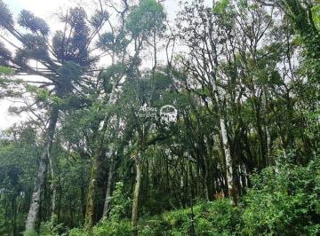 260_fbouzoe2odg3ownmzmu5mzaz_md.jpg · Terreno à venda por R$ 480.000,00 - Vale do Bosque - Gramado/RS