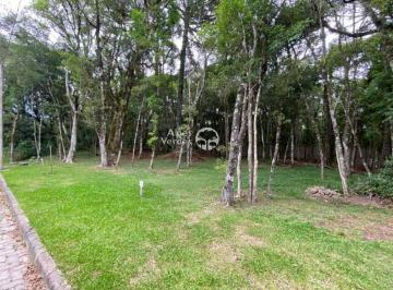180018e0da3b1885a4f68a3e374d33.jpg · Terreno em Condomínio, 395,5m², à venda em Canela, Villa Mariana
