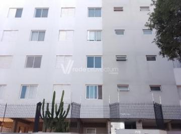 0 · apartamento para aluguel em Cambuí