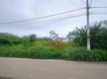 b378f829e1b0cb7d8d490e73363016a52910787e · Terreno à venda, 250 m² por R$ 125.000,00 - Aguassaí - Cotia/SP