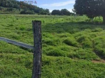 Rural · 250000m² · 4 Quartos · Sítio à Venda em Santo Antônio de Leverger – Agrovila das Palmeiras | 25 Hectares | Estrutura Comple