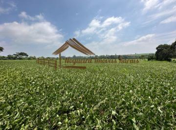 Rural , Avaré · Sitio com 15 alqueires na região de Avaré-SP