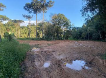 Terreno · 2000m² · Terreno em Roseira, São José dos Pinhais/PR de 2000m² à venda por R$ 320.000,00