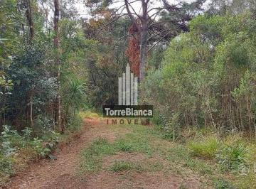 Terreno · 10m² · Terreno em Colônia Lago, Palmeira/PR de 10m² à venda por R$ 350.000,00